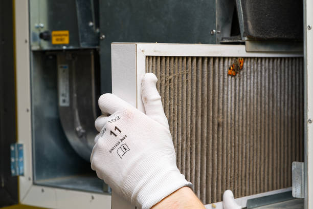 Best Local Air Duct Cleaning Services  in Kentwood, LA